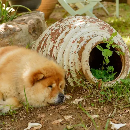 Agali 1 Superior Maisonette Διαμέρισμα Καλαμάτα